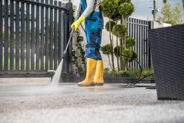 Best Sidewalk and Walkway Cleaning  in Stevenson, WA